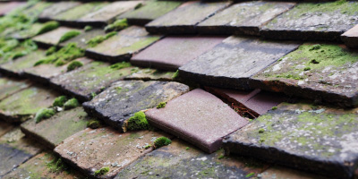 Mona roof repair costs